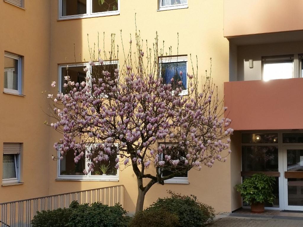 Ferienwohnung Am Kugelberg Gernsbach Exterior photo